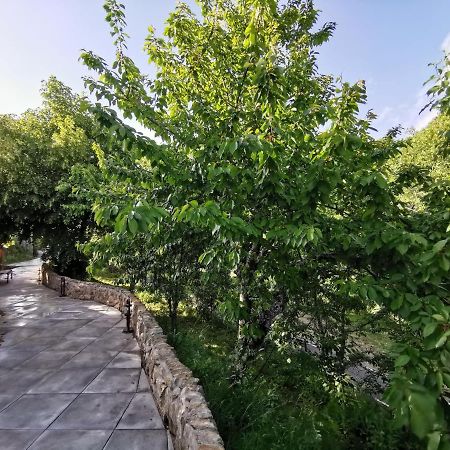 Villa Marel Trefacio Zewnętrze zdjęcie