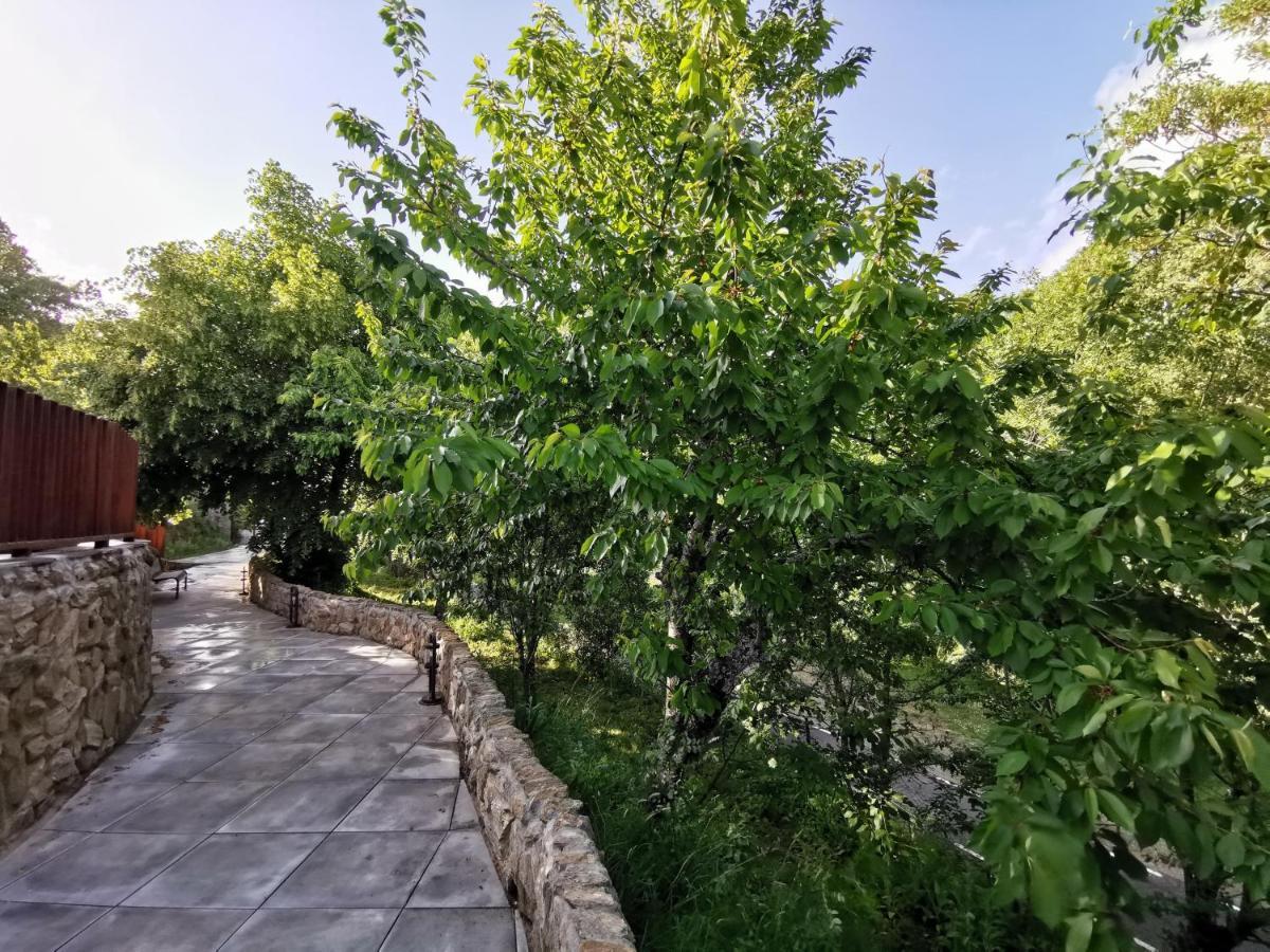 Villa Marel Trefacio Zewnętrze zdjęcie